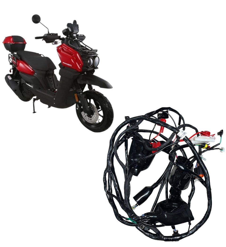 Tank 200 EFI Cableria Tanque ARRIBA  / Harness