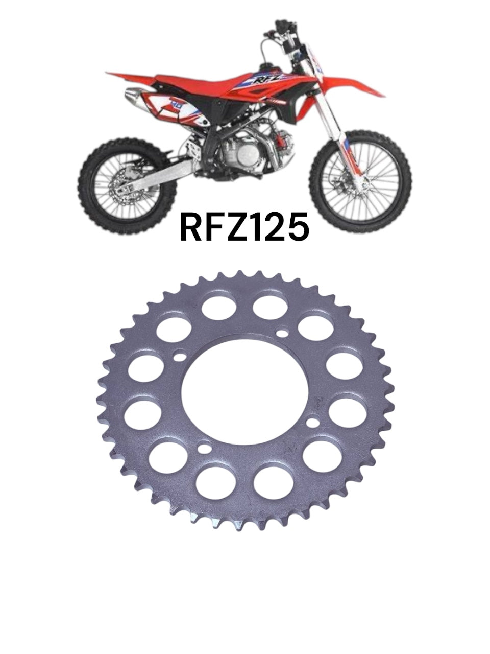Piñón trasero RFZ 125