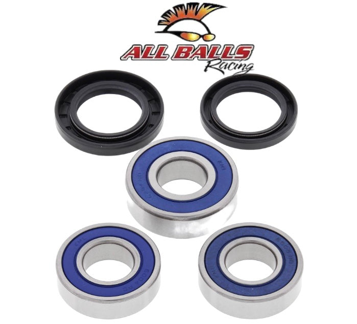 Kit de cojinetes Drz400